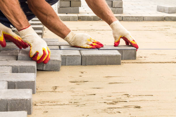 Best Decorative Driveway Pavers  in Fruitland, MD