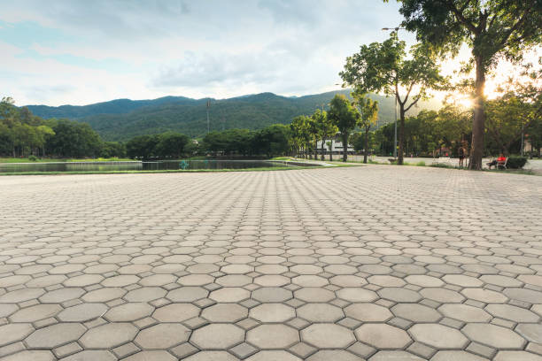 Best Brick Driveway Pavers  in Fruitland, MD
